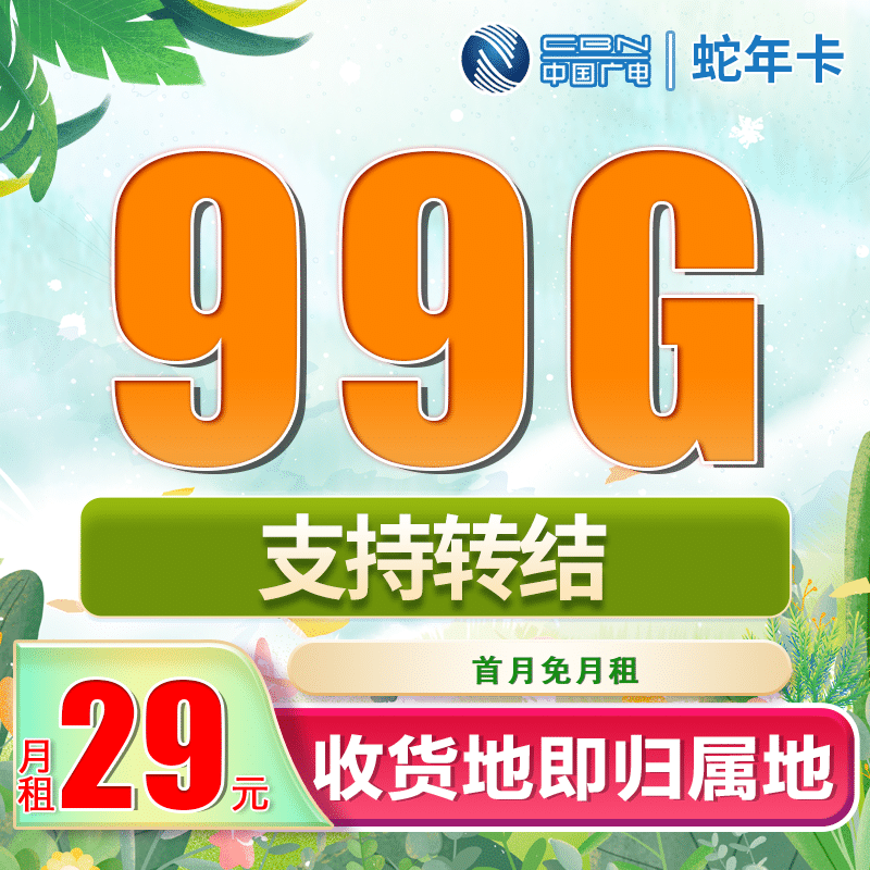 广电蛇年卡29元99G+可结转 - 卡世界号卡官网-卡世界号卡官网