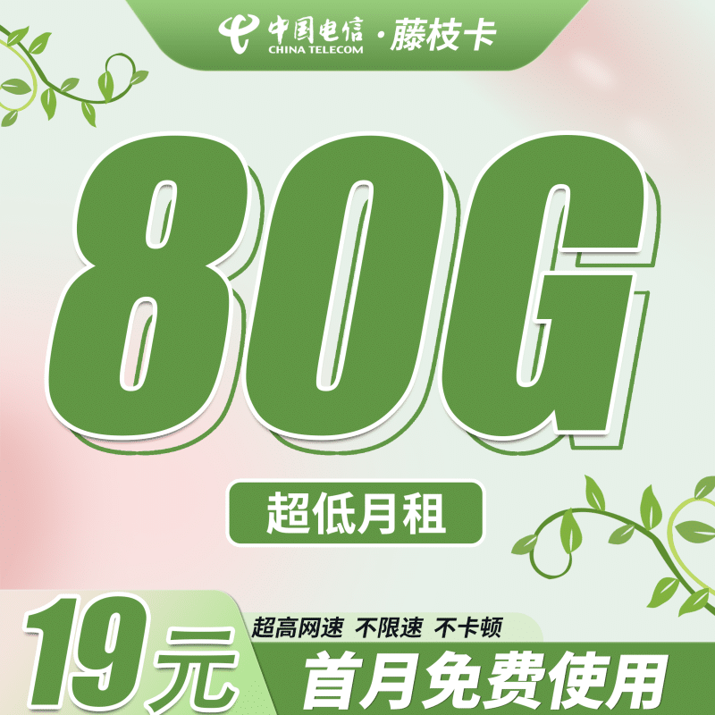 电信藤枝卡19元80G+首月免费！-卡世界号卡官网